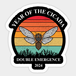 Cicada 2024, Double emergence Sticker